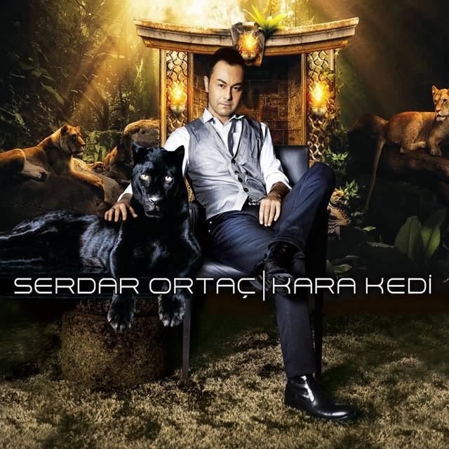 Kara Kedi cover art