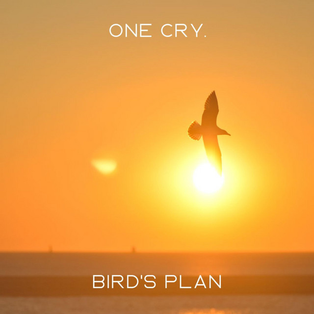 Bird's Plan cover art