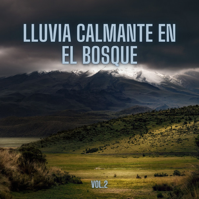 Lluvia Calmante En El Bosque, Vol. 2 - Album by Sonidos de lluvia y ...