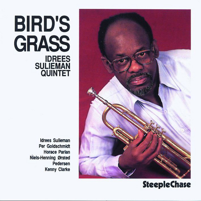 Bird's Grass cover art