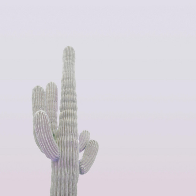Endure cover art