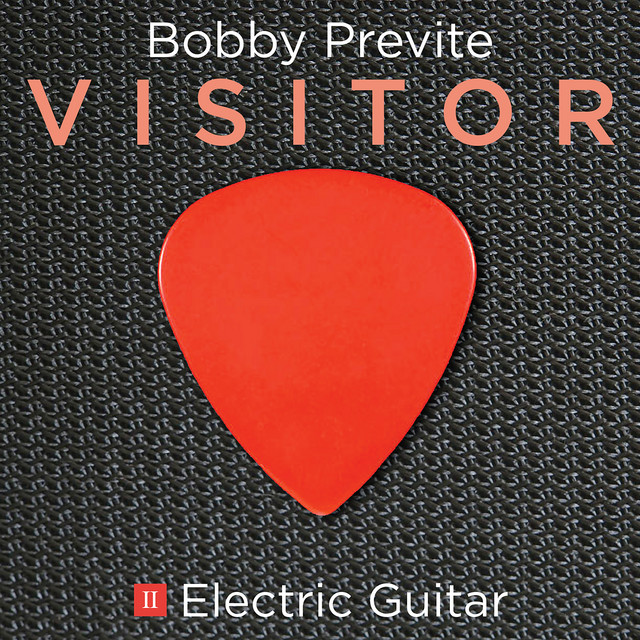 Visitor II: Electric Guitar cover art