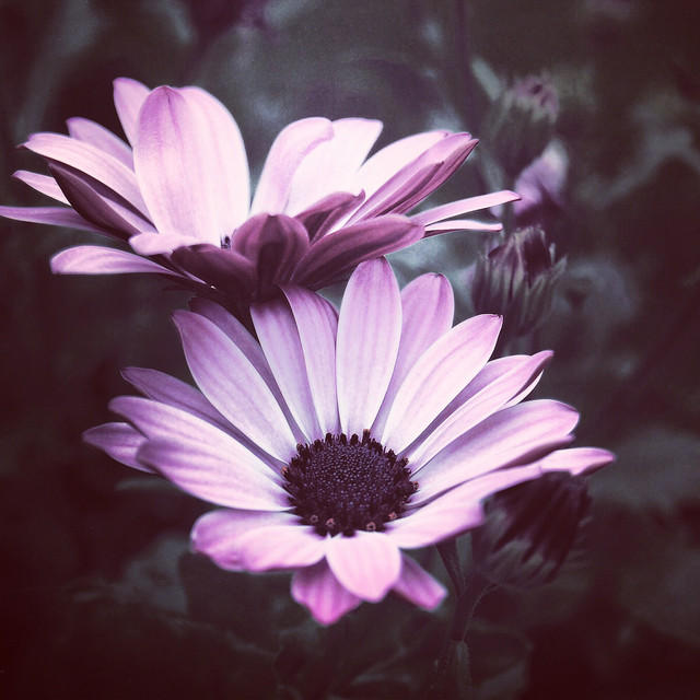 Into the Wind / Insomnia Cure, Bio Energy Healing, Zen New Age Music cover art
