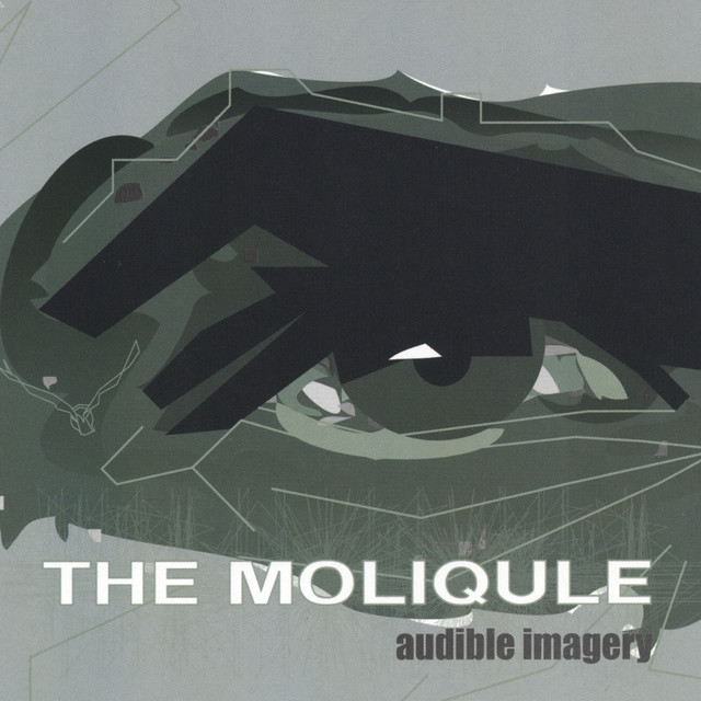 The Poseidon Misadventure Song By The Moliqule Spotify