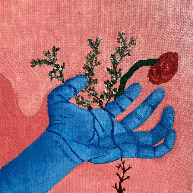 The Lady in the Box cover art
