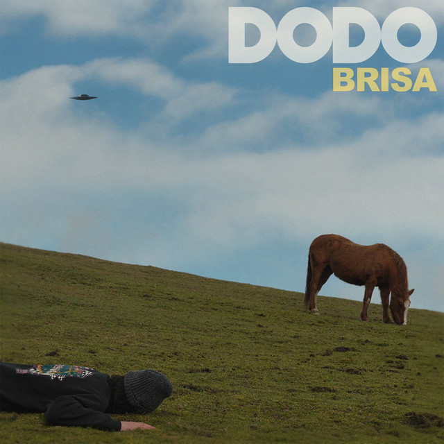 Brisa