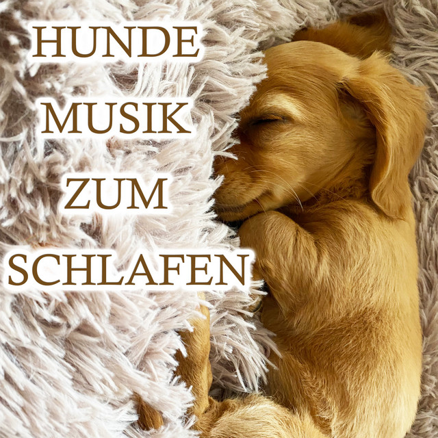 Hunde Musik zum Schlafen