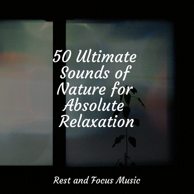 50 Ultimate Sounds of Nature for Absolute Relaxation - Album by Amazing ...