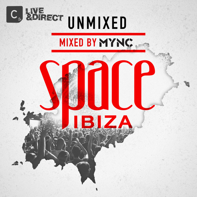 Space Ibiza 2013 (Unmixed Version) cover art