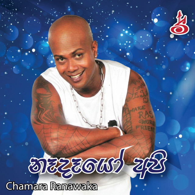 Nadayo api cover art