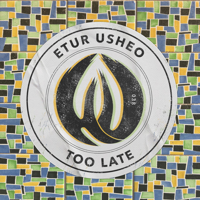Too Late album art