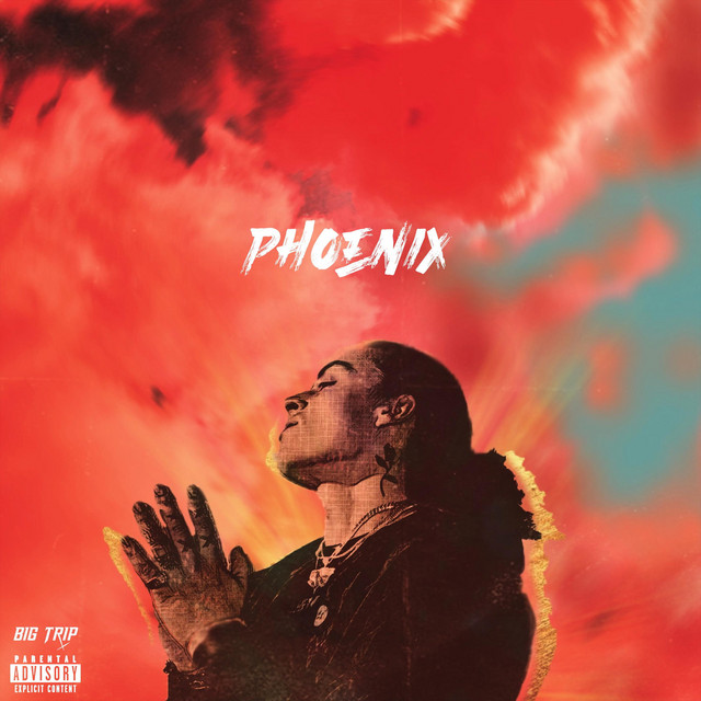 Phoenix cover art