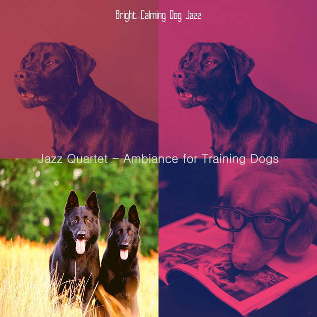 Jazz Quartet - Ambiance for Training Dogs cover art