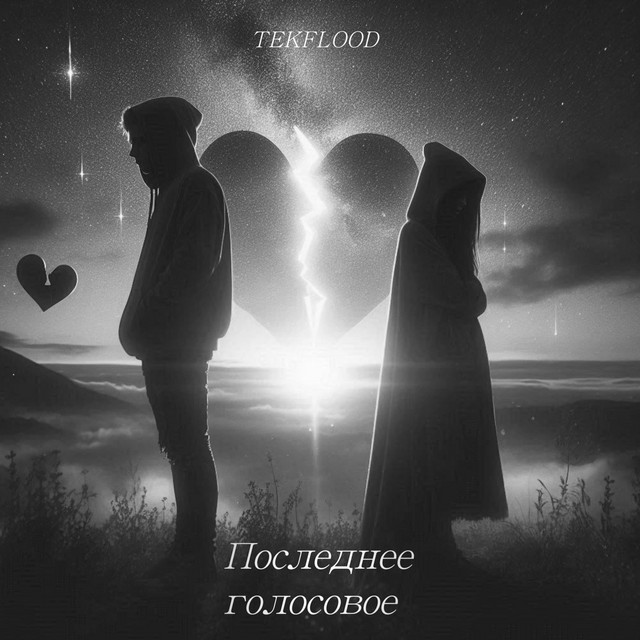Обкладинка: Последнее голосовое — TEKFLOOD