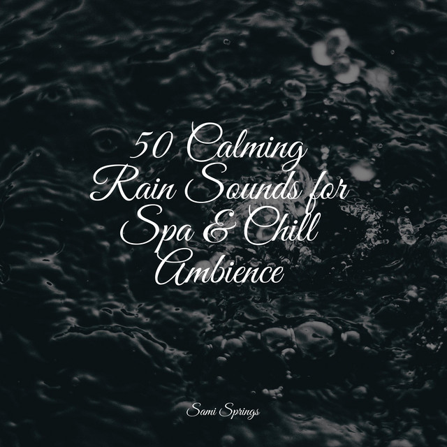 50 Calming Rain Sounds for Spa & Chill Ambience - Album by Binaural ...