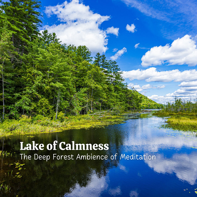 Lake of Calmness: The Deep Forest Ambience of Meditation - Album by ...