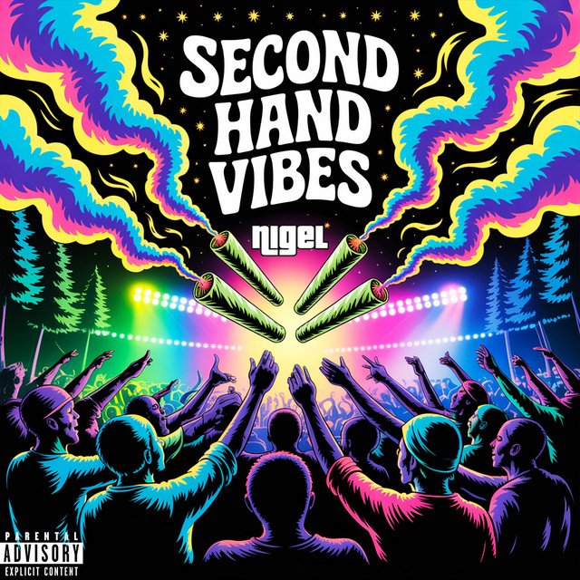 Second Hand Vibes cover art
