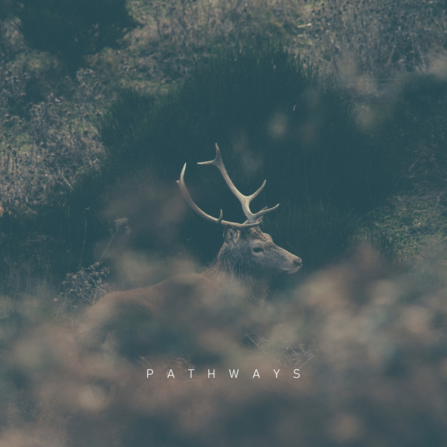 Pathways cover