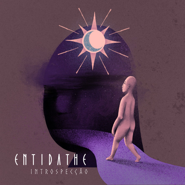 Introspecção cover art