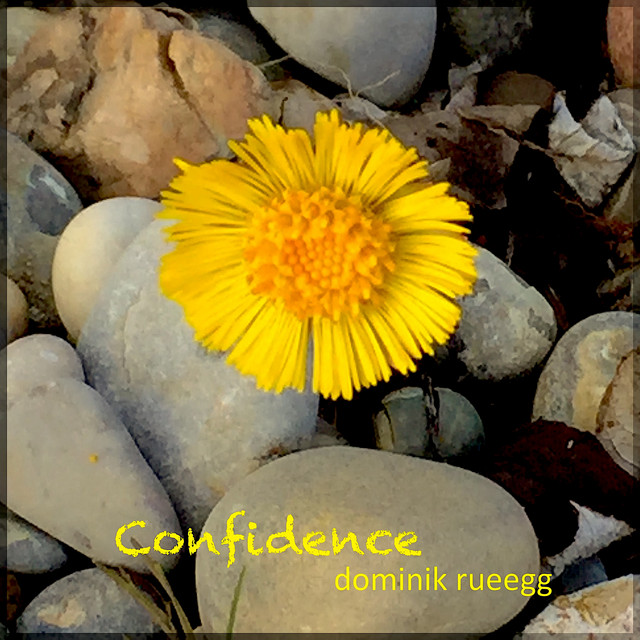 Confidence