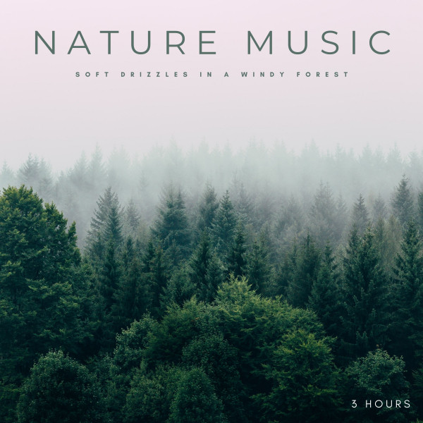 Nature Music: Soft Drizzles In A Windy Forest - 3 Hours - Single by ...