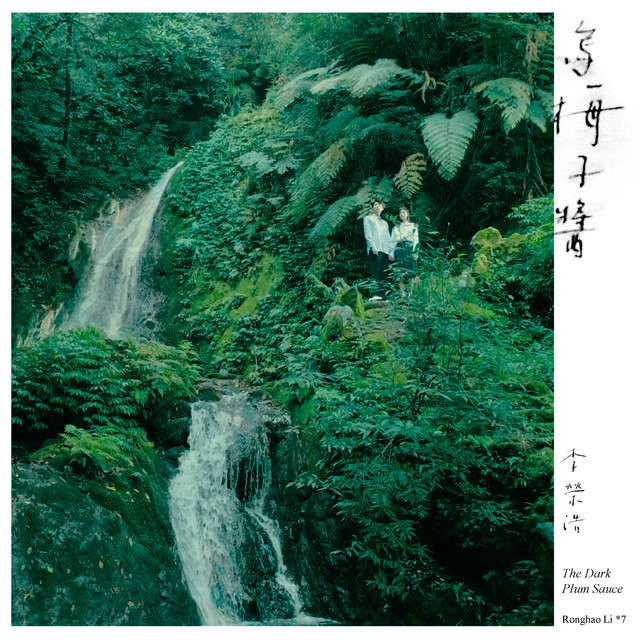 烏梅子醬 cover art