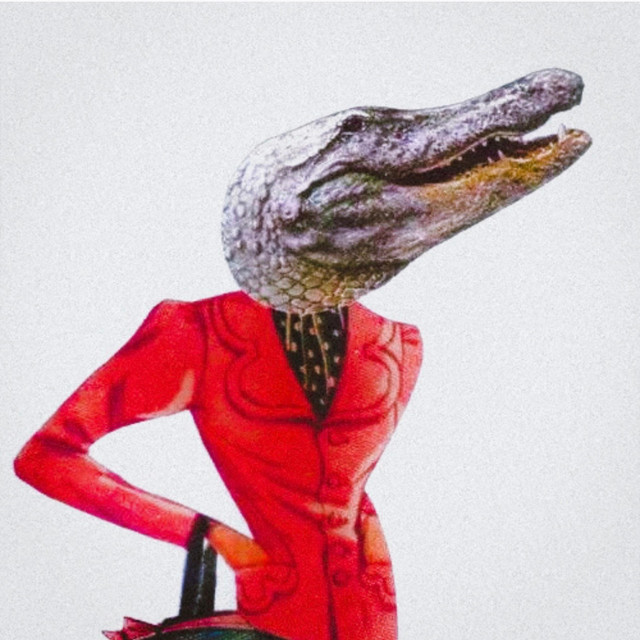 MUSIC FOR LIZARDS album image