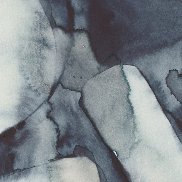 Echolocation cover art