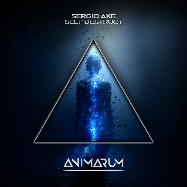 Self Destruct - Extended Mix album art