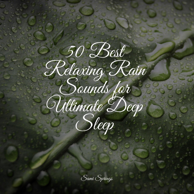 50 Best Relaxing Rain Sounds for Ultimate Deep Sleep - Album by ...