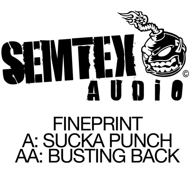 Suka Punch / Bustin Back cover