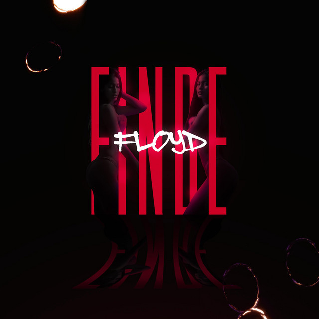 Finde cover art