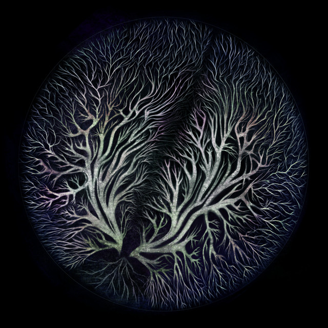抗體 cover art