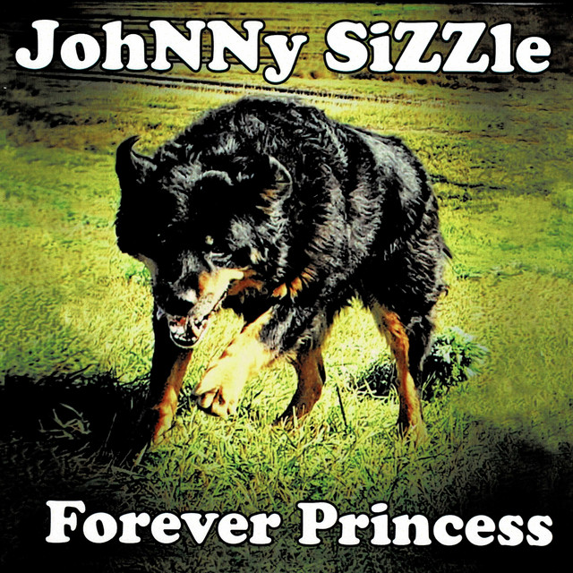 Forever Princess cover art