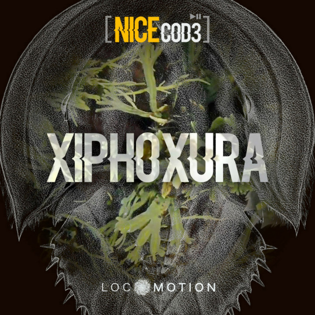 Xiphoxura cover art