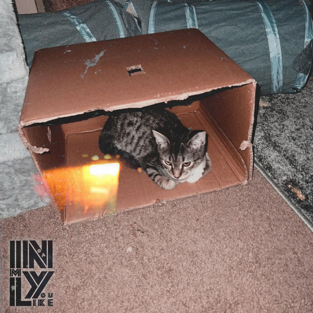 lonely-single-by-i-n-l-y-spotify