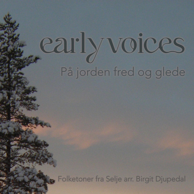 Обкладинка Traditional — På jorden fred og glede (Arr. for Choir by Birgit Djupedal)
