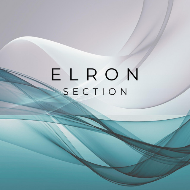 SECTION cover art