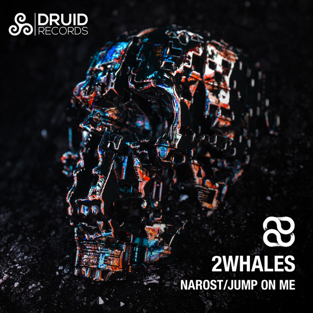 Narost album art
