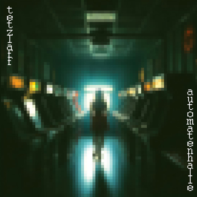 Die Unbekannte cover art