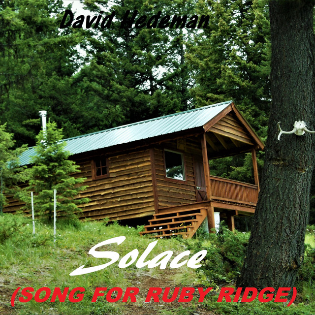 Solace (Song for Ruby Ridge) - Single by David Hedeman | Spotify