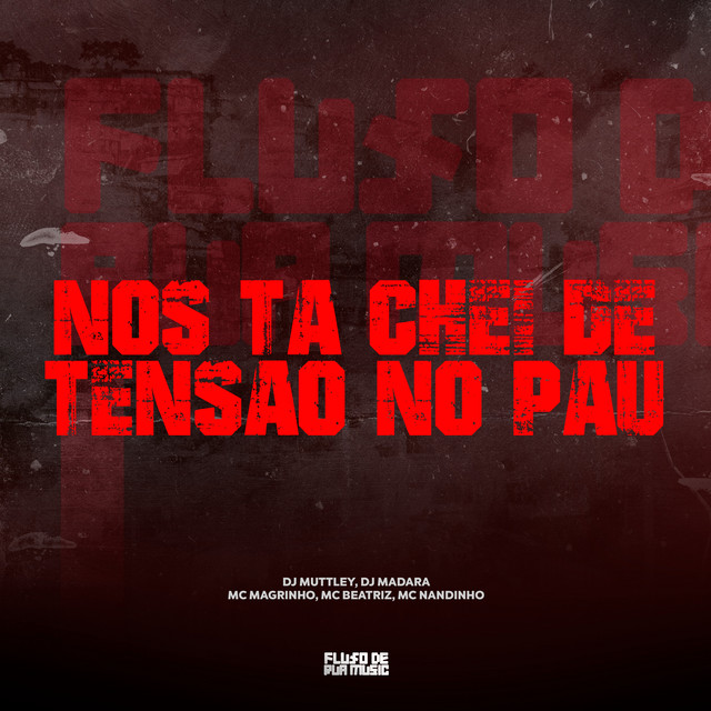 Nos Ta Chei de Tensao no Pau