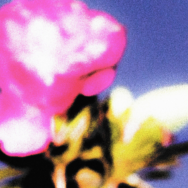 campo cover art