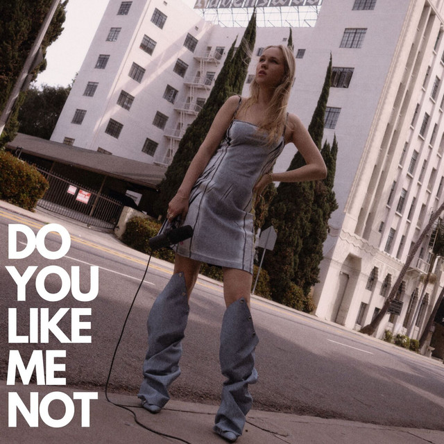 Do You Like Me Not
