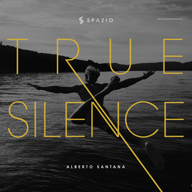True Silence cover art
