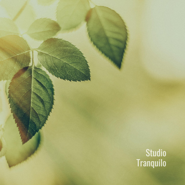 Blissful cover art