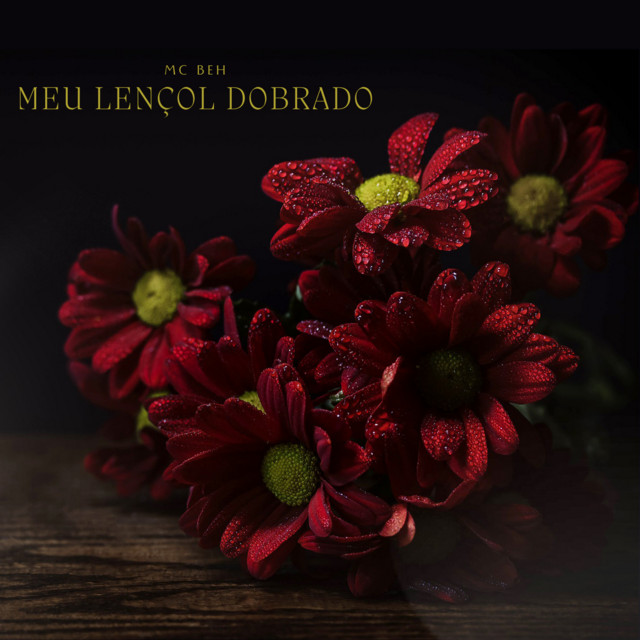 Meu Lençol Dobrado cover art