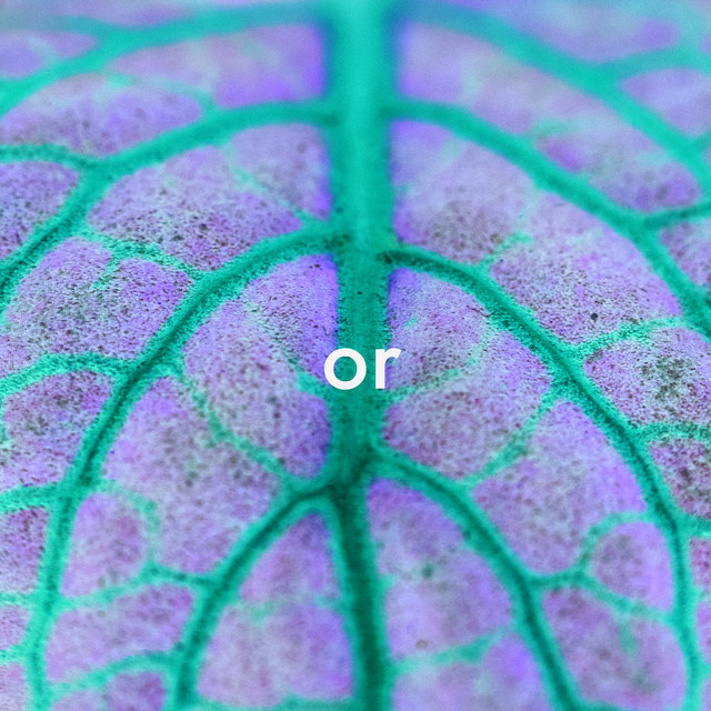 or cover art