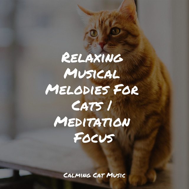 Relaxing Musical Melodies For Cats | Meditation Focus - Album by Jazz ...