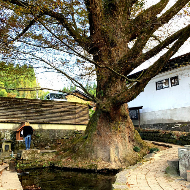 君を探して Song By Daijiro Nozawa Spotify